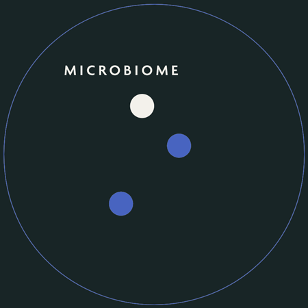 Microbiome_Animation_EN_450x450px