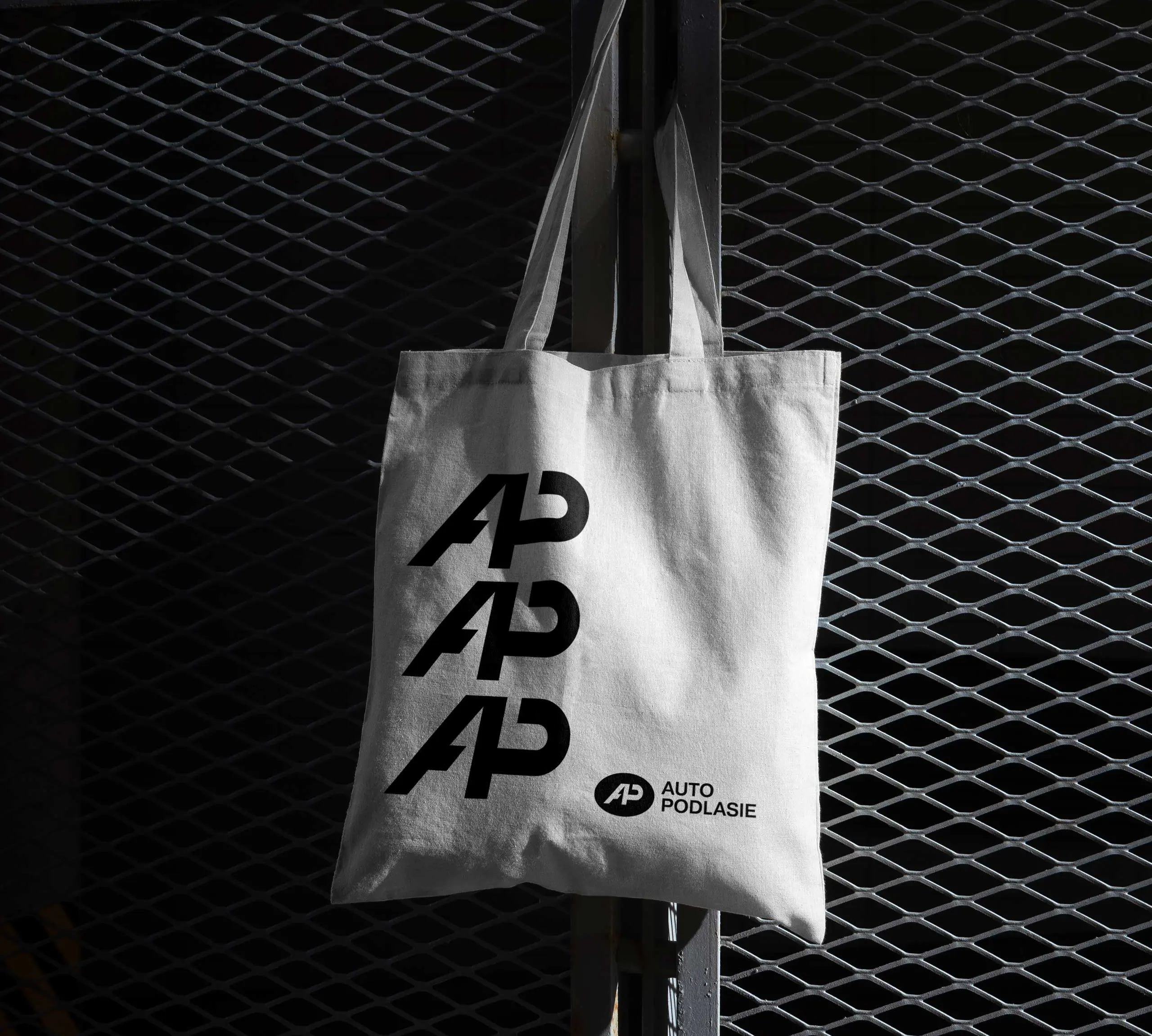 ap15-branding-logo-longstory-design