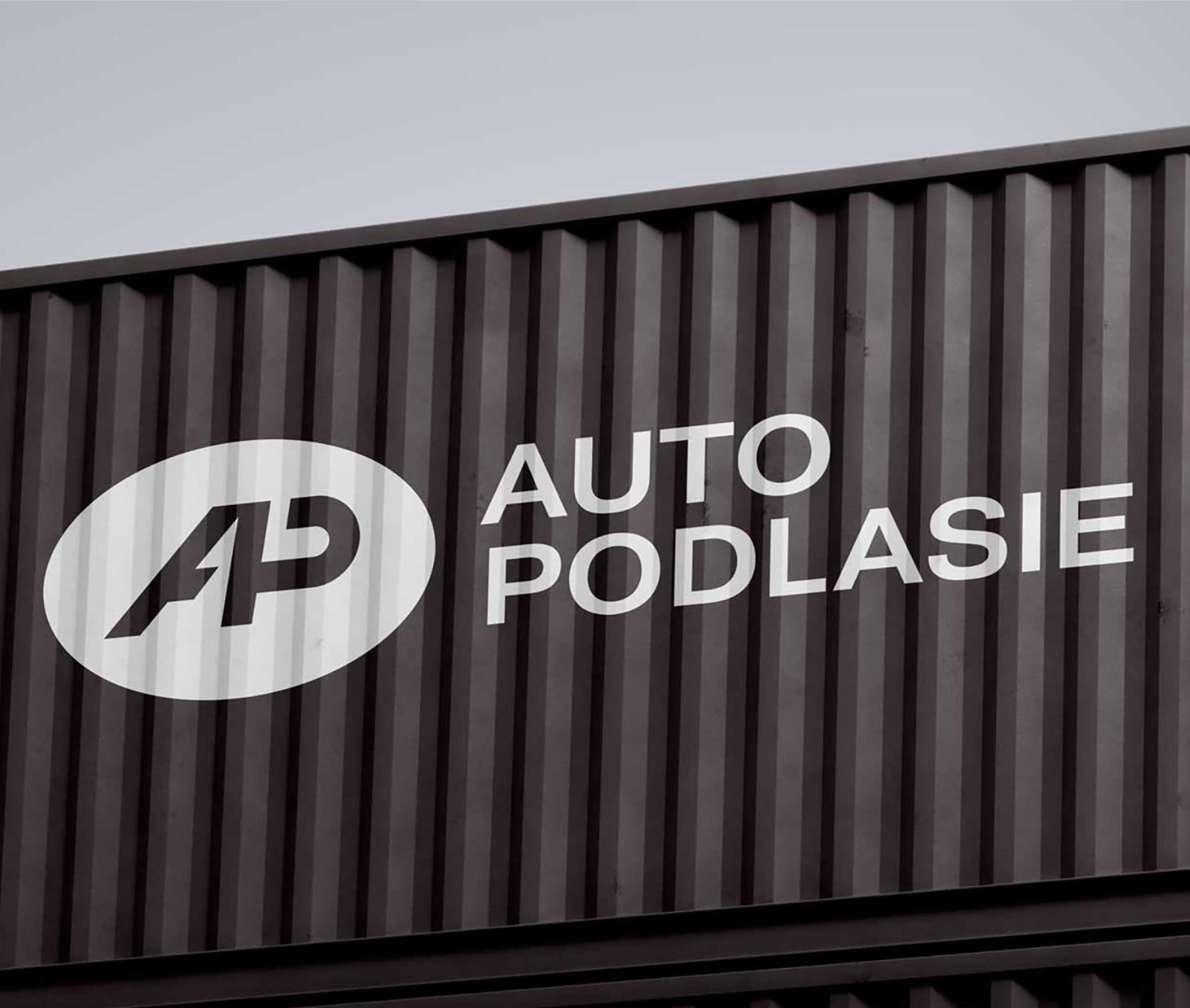 ap20-branding-logo-longstory-design
