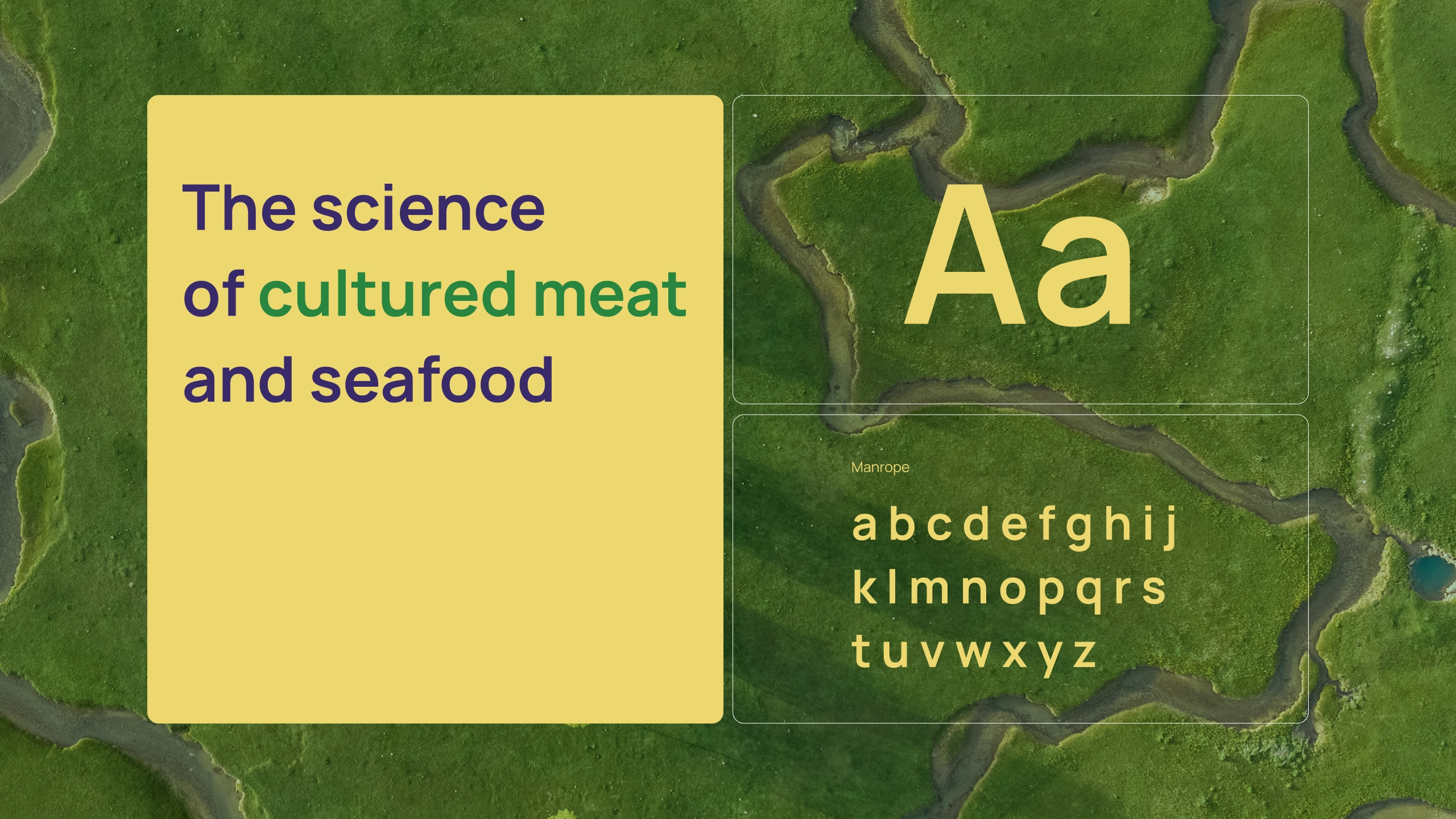 01-02-feasts-branding-longstory-design-5