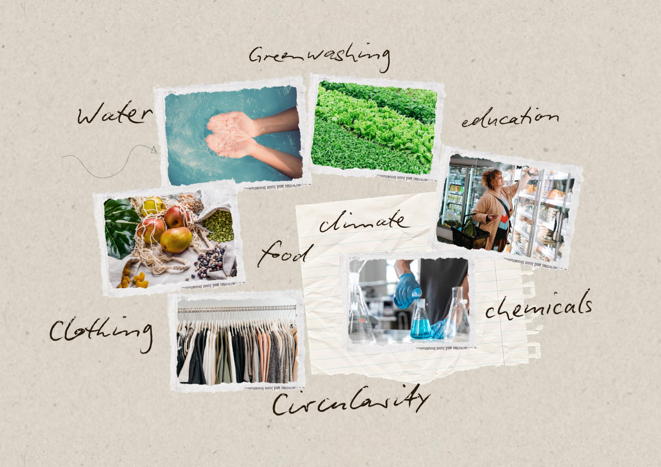 longstory-branding-desing